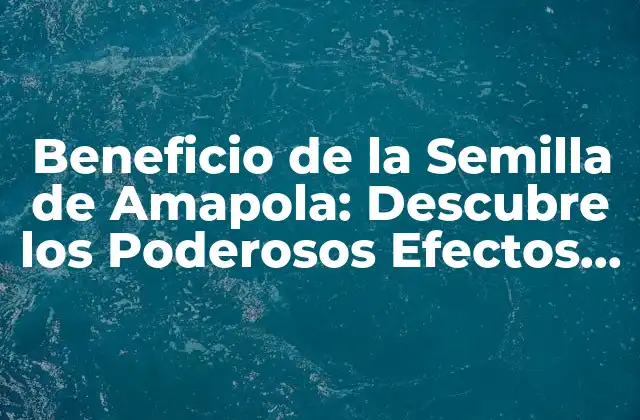 Beneficio de la Semilla de Amapola: Descubre los Poderosos Efectos en Tu Salud