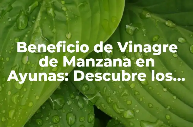 Beneficio de Vinagre de Manzana en Ayunas: Descubre los Secretos de Esta Combinación Revolucionaria