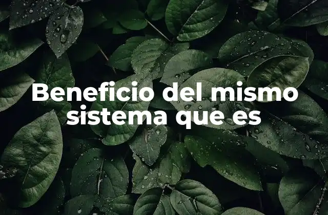 Beneficio Del Mismo Sistema que es