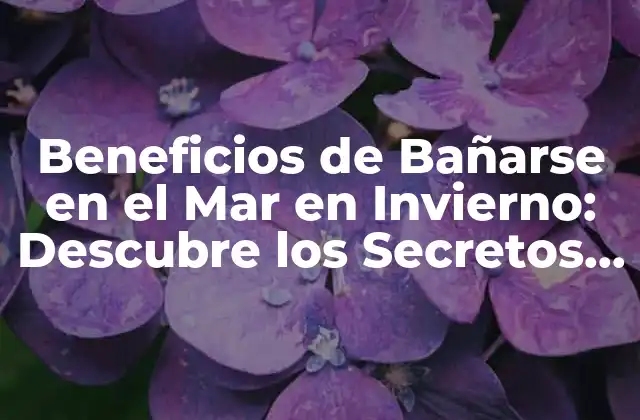 Beneficios de Bañarse en el Mar en Invierno: Descubre los Secretos Del Mar para una Mejora en Tu Salud