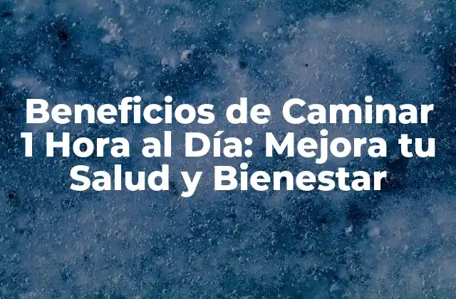 Beneficios de Caminar 1 Hora Al Día: Mejora Tu Salud y Bienestar