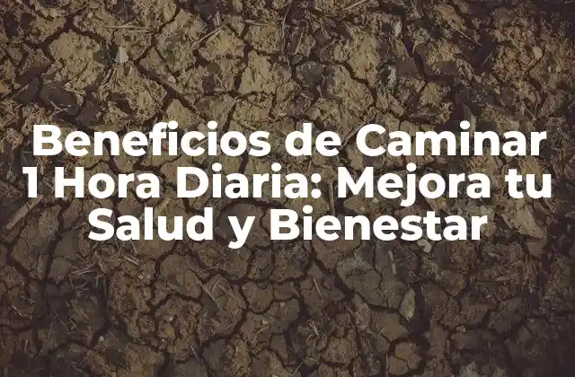 Beneficios de Caminar 1 Hora Diaria: Mejora Tu Salud y Bienestar