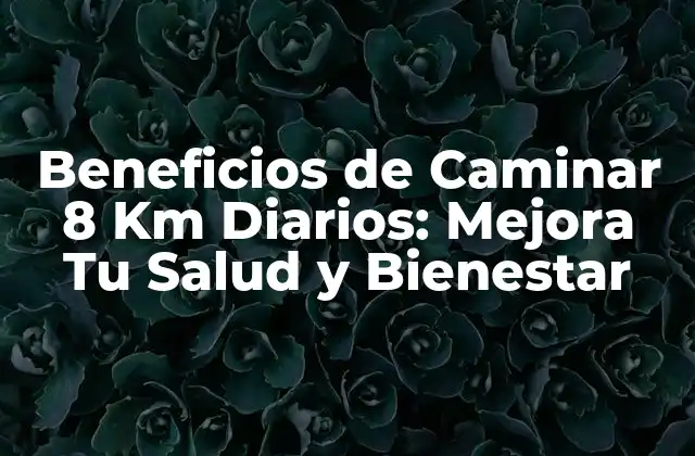 ¿Qué Sucede Cuando Caminamos 8 Km Diarios?