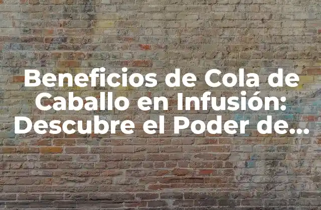 Beneficios de Cola de Caballo en Infusión: Descubre el Poder de Esta Hierba Natural