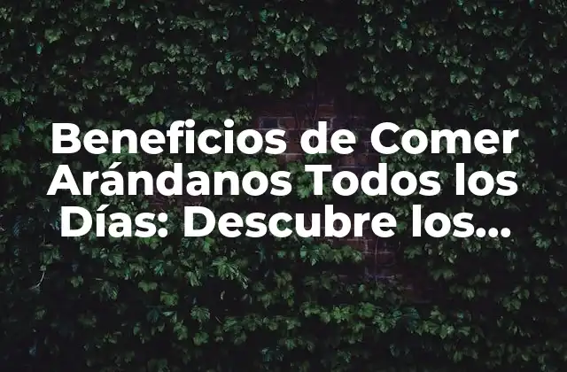 Beneficios de Comer Arándanos Todos los Días: Descubre los Poderosos Efectos en Tu Salud