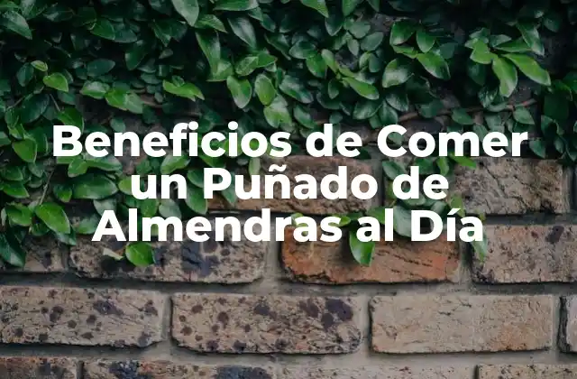Beneficios de Comer un Puñado de Almendras Al Día