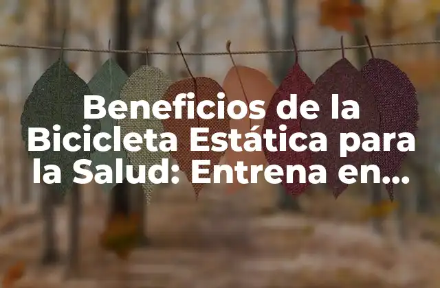 Beneficios de la Bicicleta Estática para la Salud: Entrena en Casa
