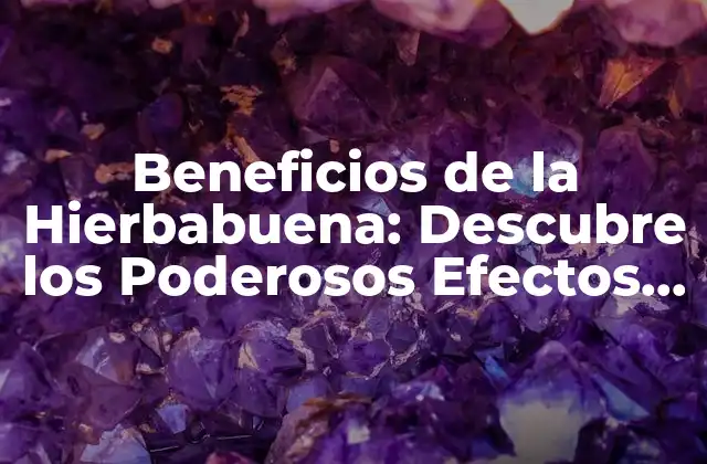 Beneficios de la Hierbabuena: Descubre los Poderosos Efectos de Esta Hierba Milagrosa