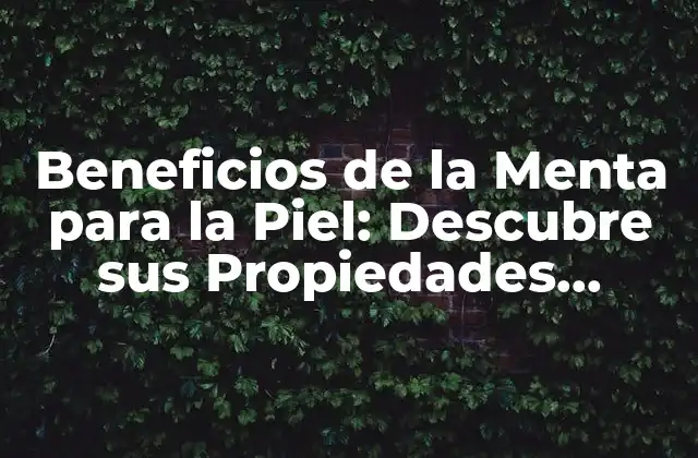 Beneficios de la Menta para la Piel: Descubre Sus Propiedades Curativas