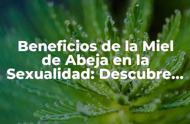 Beneficios de la Miel de Abeja en la Sexualidad: Descubre los Secretos Naturales para una Vida Intima Más Saludable
