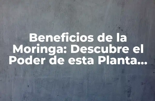 Beneficios de la Moringa: Descubre el Poder de Esta Planta Milagrosa 2 ¿Qué es la Moringa?