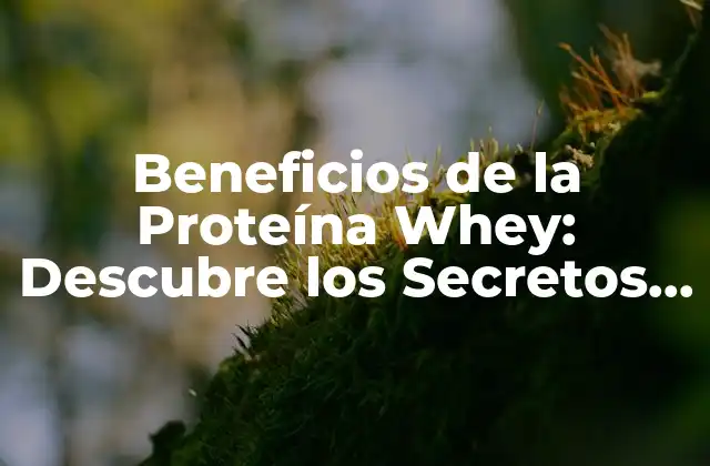 Beneficios de la Proteína Whey: Descubre los Secretos de la Mejora Física