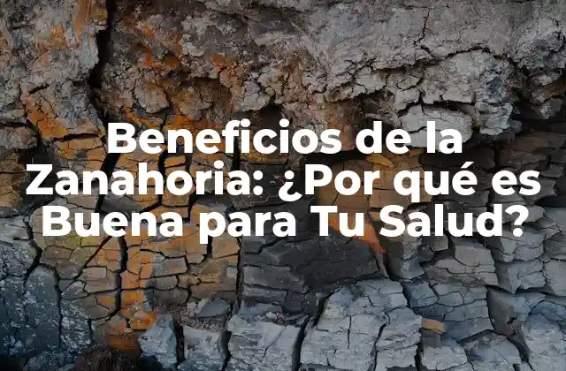 ¿Cuáles son los Nutrientes que se Encuentran en la Zanahoria?