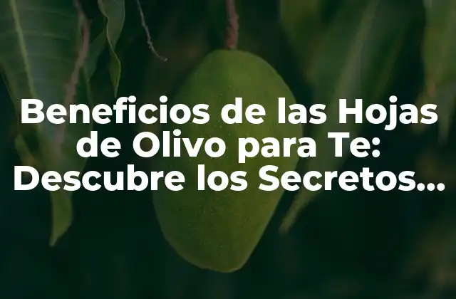 Beneficios de las Hojas de Olivo para Te: Descubre los Secretos de la Salud