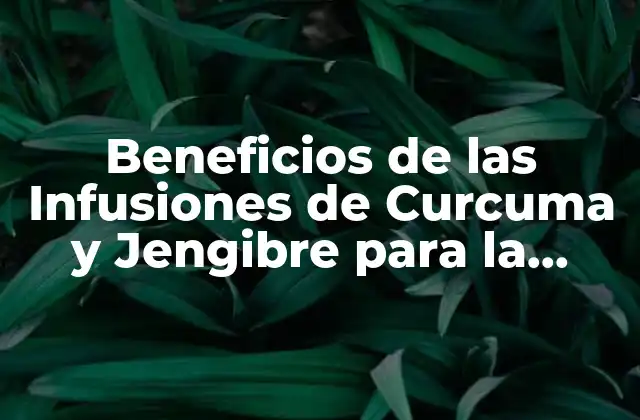 Propiedades Medicinales de la Curcuma y el Jengibre