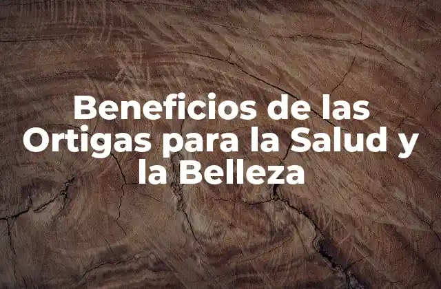 Beneficios de las Ortigas para la Salud y la Belleza