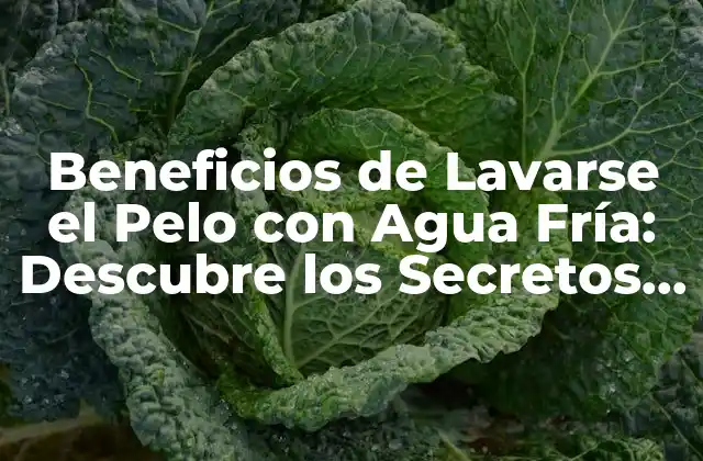 Beneficios de Lavarse el Pelo con Agua Fría: Descubre los Secretos Del Cuidado Del Pelo