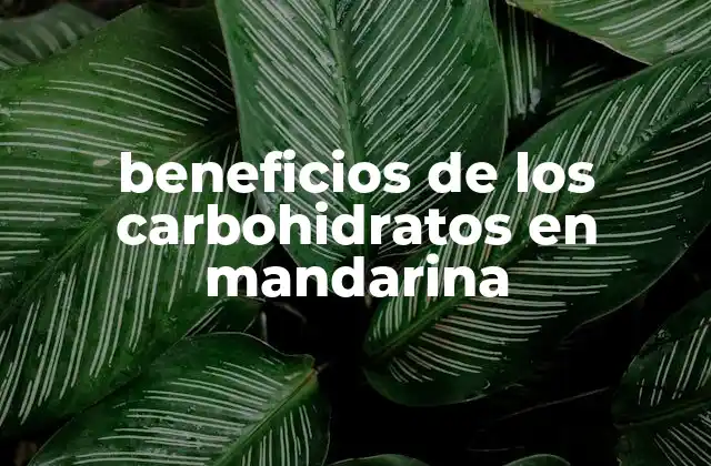 Beneficios de los Carbohidratos en Mandarina