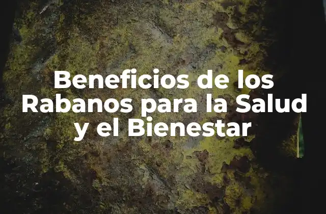 Beneficios de los Rabanos para la Salud y el Bienestar