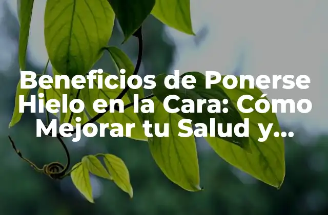 Beneficios de Ponerse Hielo en la Cara: Cómo Mejorar Tu Salud y Belleza