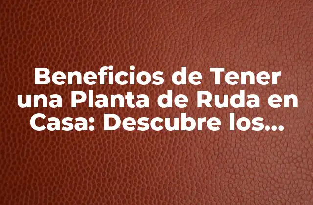 Beneficios de Tener una Planta de Ruda en Casa: Descubre los Poderes de Esta Hierba Milagrosa