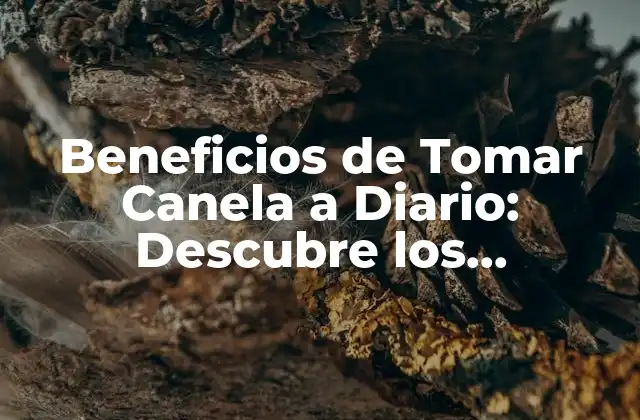 Beneficios de Tomar Canela a Diario: Descubre los Poderosos Efectos