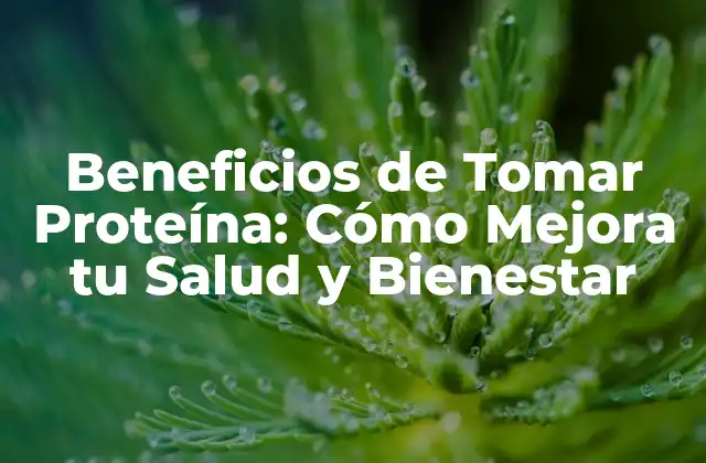 Beneficios de Tomar Proteína: Cómo Mejora Tu Salud y Bienestar
