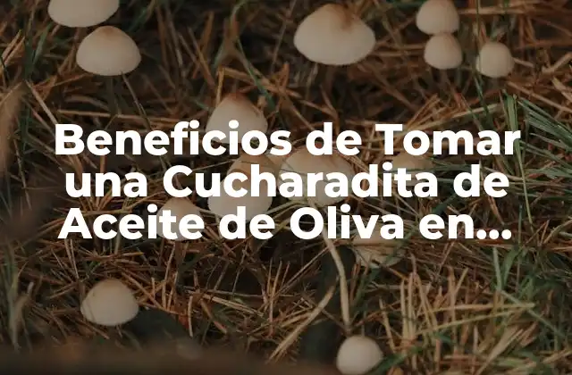 Beneficios de Tomar una Cucharadita de Aceite de Oliva en Ayunas