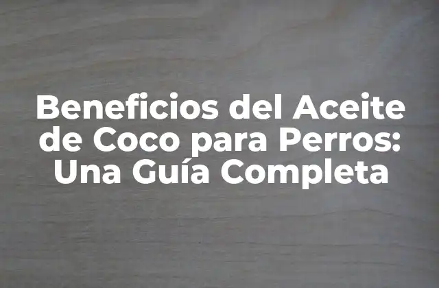 Beneficios Del Aceite de Coco para Perros: una Guía Completa