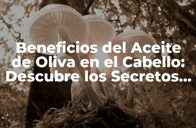 Beneficios Del Aceite de Oliva en el Cabello: Descubre los Secretos de un Cabello Sano y Brillante