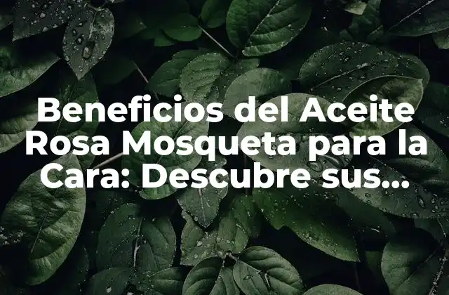 Beneficios Del Aceite Rosa Mosqueta para la Cara: Descubre Sus Propiedades Revitalizantes