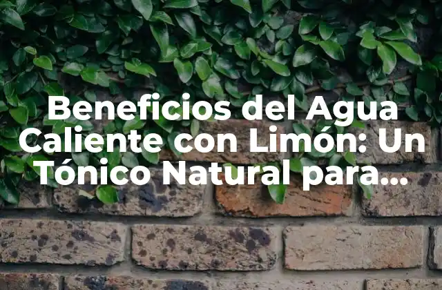 Beneficios Del Agua Caliente con Limón: un Tónico Natural para una Vida Saludable