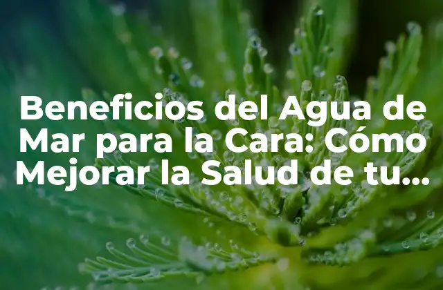 Beneficios Del Agua de Mar para la Cara: Cómo Mejorar la Salud de Tu Piel