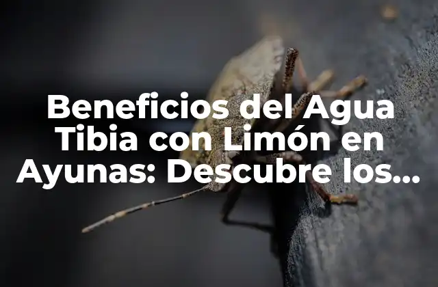 Beneficios Del Agua Tibia con Limón en Ayunas: Descubre los Secretos de una Salud Mejorada