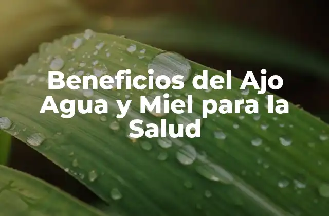 Beneficios Del Ajo Agua y Miel para la Salud