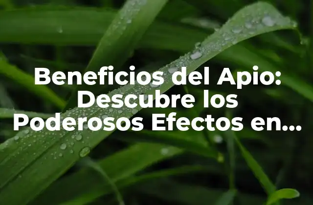 Beneficios Del Apio: Descubre los Poderosos Efectos en Tu Salud