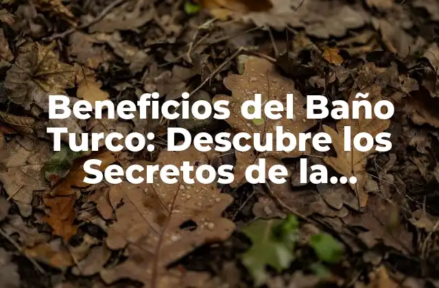Beneficios Del Baño Turco: Descubre los Secretos de la Relajación y el Bienestar
