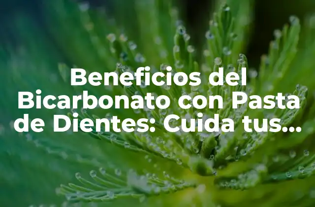 Beneficios Del Bicarbonato con Pasta de Dientes: Cuida Tus Dientes de Forma Natural