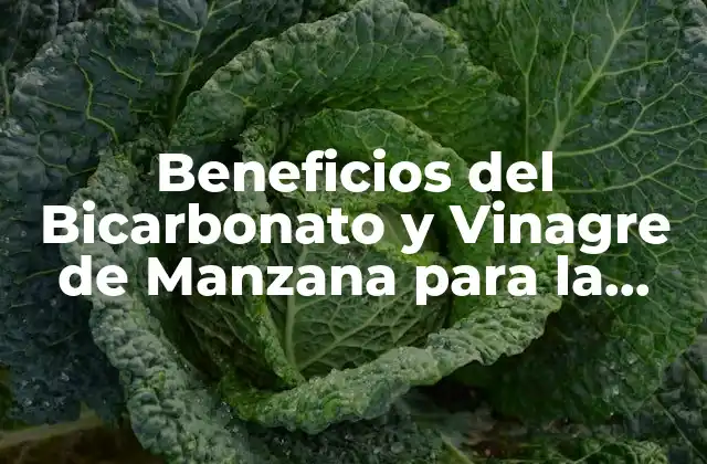 Beneficios Del Bicarbonato y Vinagre de Manzana para la Salud y la Belleza