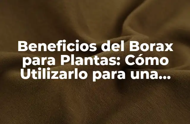 Beneficios Del Borax para Plantas: Cómo Utilizarlo para una Horticultura Saludable