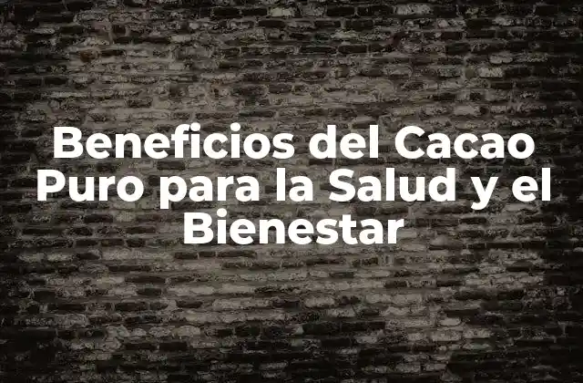 Beneficios Del Cacao Puro para la Salud y el Bienestar