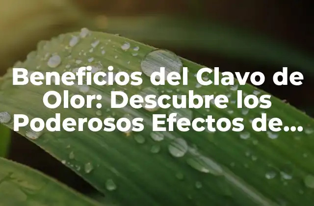 Beneficios Del Clavo de Olor: Descubre los Poderosos Efectos de Esta Especie Natural