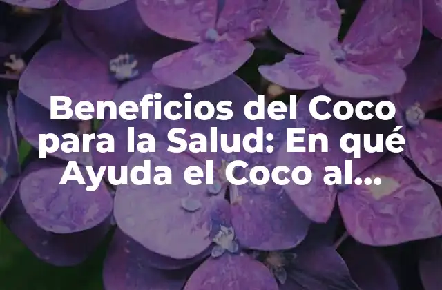 Beneficios Del Coco para la Salud: en Qué Ayuda el Coco Al Cuerpo