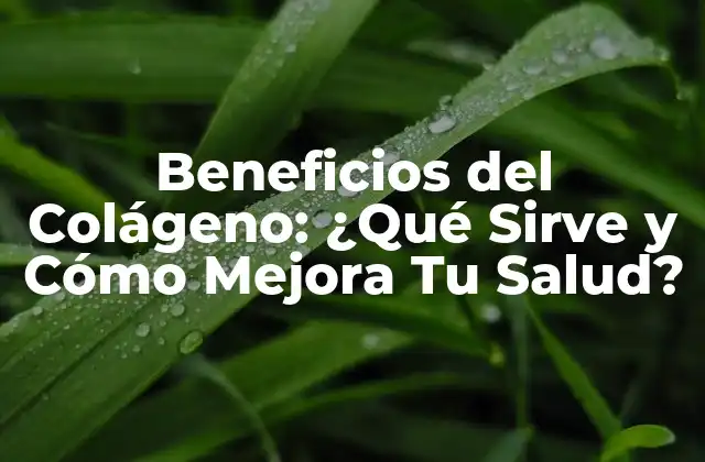 Beneficios del Colágeno para la Piel
