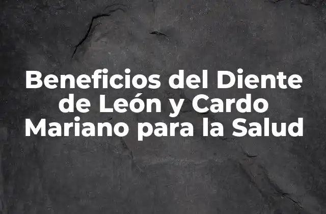 Beneficios Del Diente de León y Cardo Mariano para la Salud