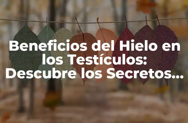 Beneficios Del Hielo en los Testículos: Descubre los Secretos de una Mejora en la Salud Masculina