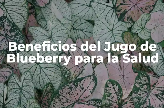 Beneficios Del Jugo de Blueberry para la Salud
