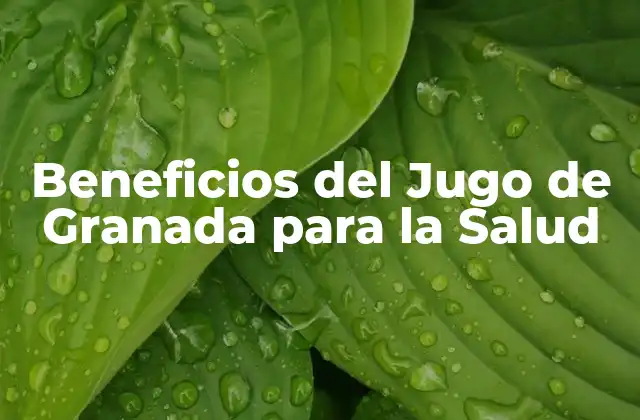 Beneficios Del Jugo de Granada para la Salud