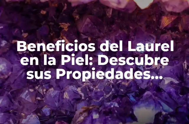Beneficios Del Laurel en la Piel: Descubre Sus Propiedades Medicinales y Cosméticas
