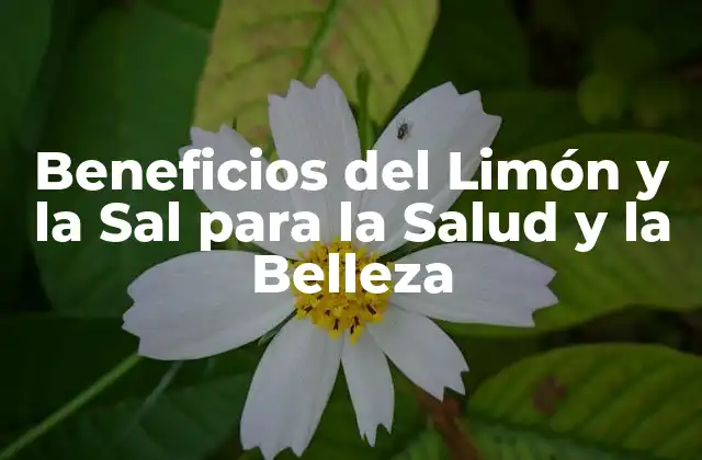 Beneficios Del Limón y la Sal para la Salud y la Belleza